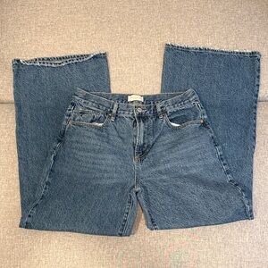 PacSun Lena Supre Baggy Low Rise 27 Short Jeans